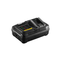 Charger 60V 2,5Ah for RI60176E